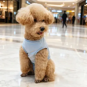 Detailed view of cute light blue pet dog clothes designed for small breeds like poodles.