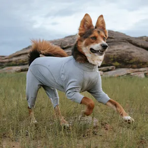 Grey full-body dog jumpsuit comfortable breathable pet clothes for small dogs active outdoor wear