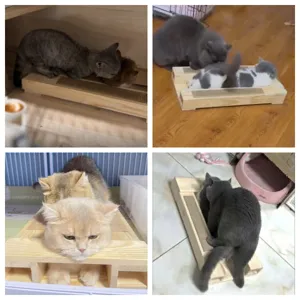 Marco de apareamiento para gatos de madera y rascador de sisal, artículos mascotas.