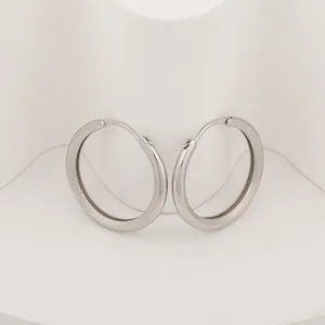 Silver hoop earrings for women minimalist geometric satin finished metal jewelry accessories