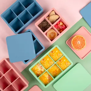 Silicone Food Storage Box Freezer Tray Mold with Lid Meal Prep Container Ice Cube Tray Kitchen Storage Organizer