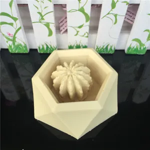Hexagonal silicone mold detail showing the intricate succulent cactus shape inside, clear and precise.