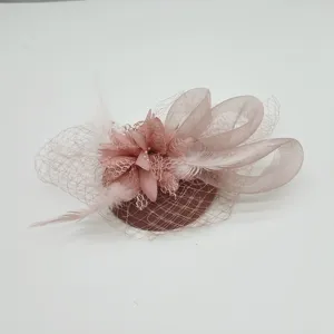 Pink feather fascinator hair clip with mesh veil for 1920s party, exquisite detail view.