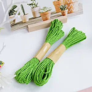 Natural Paper Cord Colorful Twisted Twin Strand Raffia Rope For Gift Wrapping Handmade DIY Crafts Decoration Weaving Material