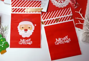 Christmas candy gift bag detail showing Santa Claus print and premium red paper design.