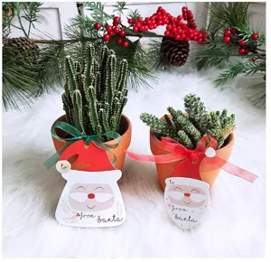 Christmas potted plant decorative tags cute Santa Claus design festive holiday party supplies