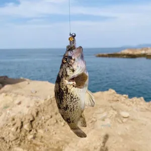 Detailed view of realistic soft fishing lure and jig head used for sea fishing and bass lure.