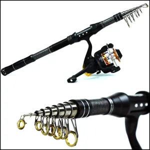 Detailed view of telescopic fishing rod and spinning reel set with metal guide rings.