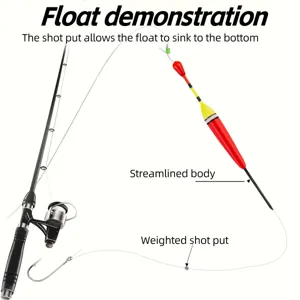 Detailed fishing float set diagram showing streamlined vertical float, hook, and weighted shot put.