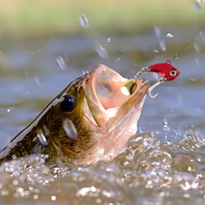 Professioneller Metall VIB Angelköder mit goldenem Spinnerblatt und scharfem Haken im Wasser.