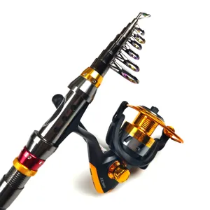 Ensemble de canne à pêche télescopique portable et moulinet pour la mer et le lac.