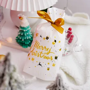 Christmas drawstring gift packaging bag detail close-up showing gold Merry Christmas text.
