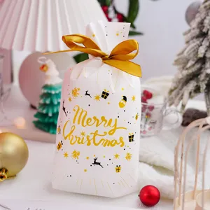 Christmas merry christmas snow crisp cookie drawstring packaging bag nougat biscuit bag