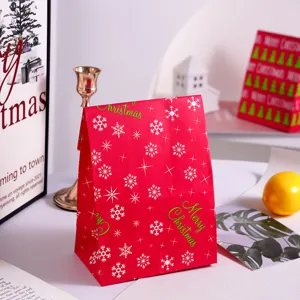 Christmas gift paper bag with festive snowflake and Merry Christmas print for holidays.