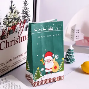 Green Christmas paper bag detail with cute Santa Claus illustration and festive holiday design.