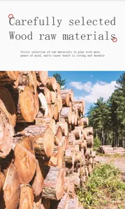 Selected wood raw materials for building blocks, showing durable multi-layer timber logs.