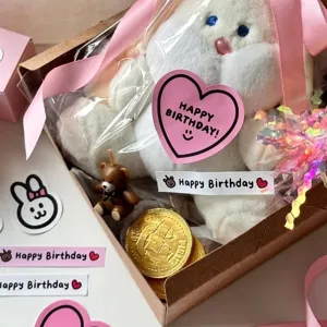 Cute pink white decorative sticker set happy birthday gift box plush rabbit toy cute aesthetic