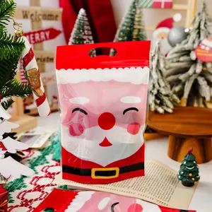 Sacchetto regalo di Natale in plastica dettaglio confezione caramelle con Babbo Natale carino.