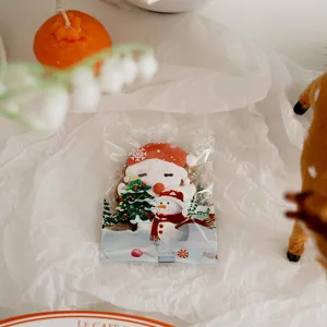 Details des Weihnachtssüßigkeiten-Verpackungsbeutels, transparenter Keksbeutel für Geschenke.