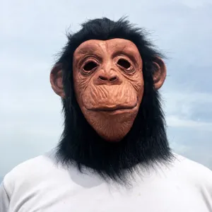 Masque en latex de chimpanzé réaliste pour fêtes d'Halloween, accessoire de costume d'animal drôle.