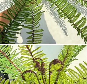 Artificial fern plant detail showing realistic green fronds and fiddleheads for indoor home decor.