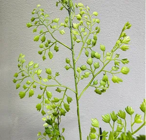 Close-up detail of artificial fern plant leaves, realistic green foliage branch decor for interior.