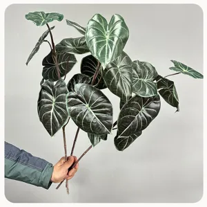 Detailed close-up of artificial Alocasia leaves, realistic tropical plant decor for interior.