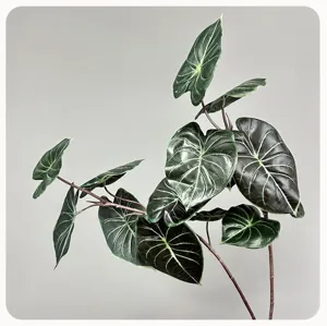 Artificial alocasia green leaf plant branch for home indoor floral decoration details