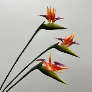 Artificial bird of paradise flower stem realistic home wedding floral decor fake plant.
