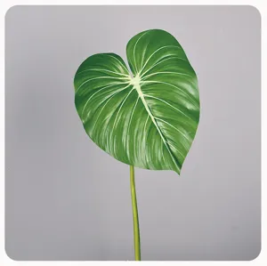 Detail van kunstmatig monstera blad, mooie groene plantenblad decoratie binnen.