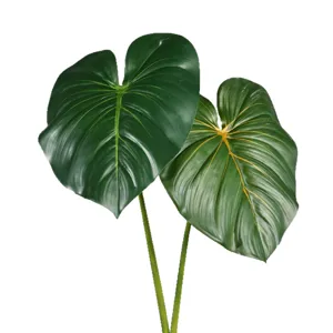 Kunstmatige Monstera Philodendron bladeren groene plant stengels voor huis decoratie.