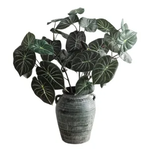Artificial Alocasia potted plant fake green leaves for home indoor room decor aesthetic.