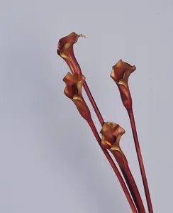 Artificial Calla Lily Thick PU Arum Lily Flower for Home Decor and Photography Props