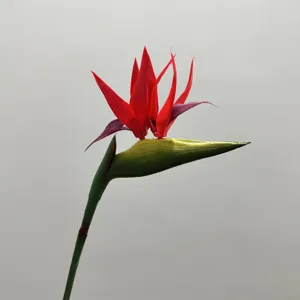 Close-up detail of artificial red bird of paradise flower stem and vivid petals arrangement.