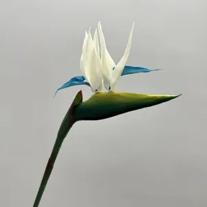 Artificial bird of paradise single flower detail, white petals and blue sepals decor.