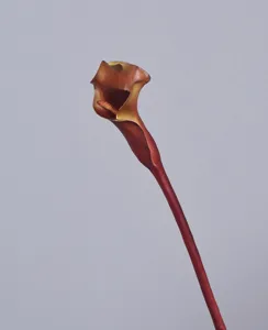 Artificial calla lily flower PU single stem home decor wedding floral prop realistic fake flower