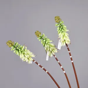 Detailansicht künstlicher Fackellilien Blumenstiele, realistische grüne Dekoration.