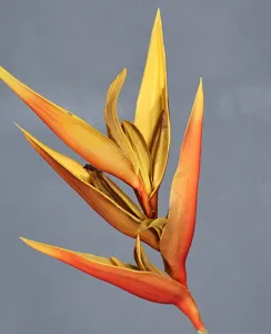 Gros plan détail fleur d'oiseau de paradis artificielle texture pétale réaliste.