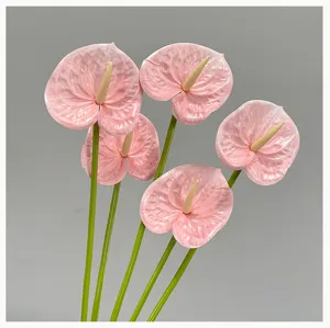 Artificial pink anthurium flower stem simulation plant wedding home decor detail
