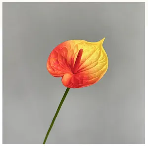 Artificial anthurium flower detail, realistic PU texture with vibrant gradient color.