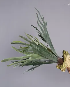 Gros plan détail de feuille de fougère corne de cerf artificielle, décor floral.