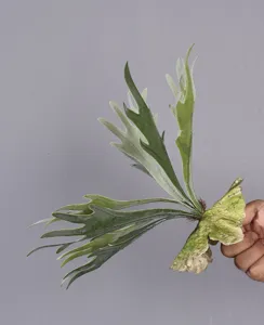Feuille de fougère artificielle en gros plan, plante verte floquée pour arrangement floral.