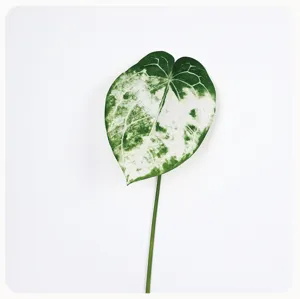Artificial anthurium leaf detail shot, variegated green plant stem for home decor and props.