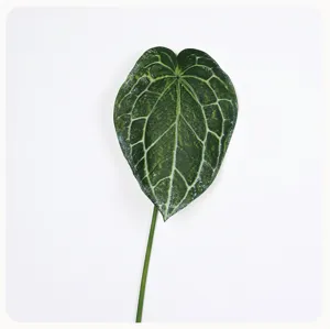 Artificial Anthurium crystal leaf green plant photography prop home decor detail view