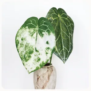 Detailed view of artificial anthurium leaves and variegated plant props for home decor.