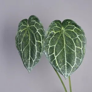 Artificial Anthurium crystal leaf faux plant photography props for home decoration