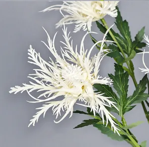 Détail gros plan fleur chrysanthème araignée blanche artificielle pour déco mariage.