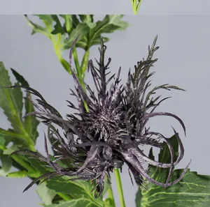 Gros plan de la tête de fleur de chardon artificielle avec des pétales violets foncés.