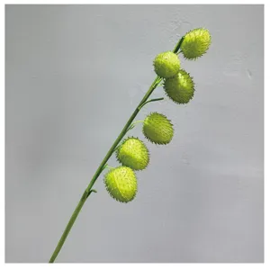 Kunstmatige ballonplant enkele tak nep groene vrucht voor huisdecoratie bloemstuk.