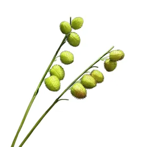 Kunstmatige ballonplant stengel groene botanische decoratie voor thuisbloemstuk